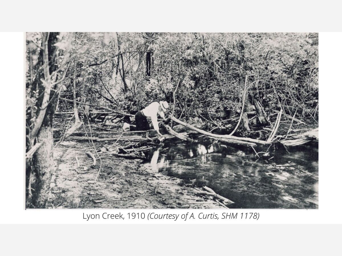 City of Lake Forest Park Turns 60 on Sunday, June 20