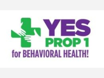 Vote YES on April 25th to Improve Mental Health Services