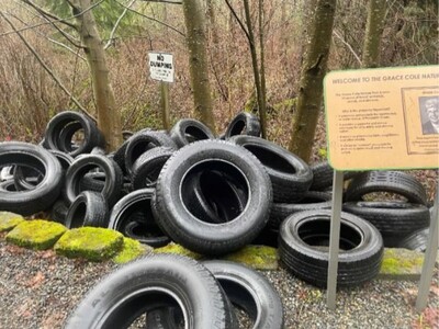 TIRES DUMPED AT NATURE PARK, PLEASE HELP FIND WHO DID IT