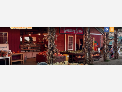 Local Pumpkin Patch Guide