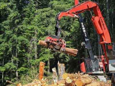 Washington Leaders Push Back Against Federal Plan to Roll Back Forest Protections