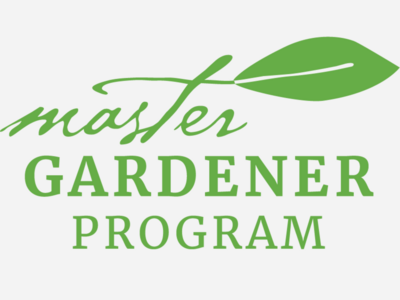 Seeds of Hope: Growing Community Through the Master Gardener Program 