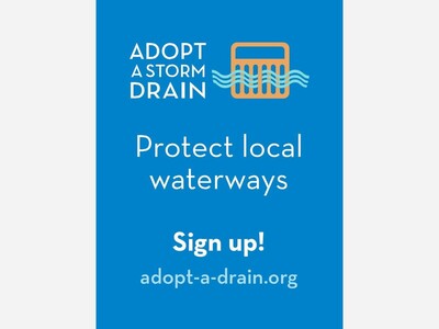 Lake Forest Park is now an Adopt-a-Drain Community!