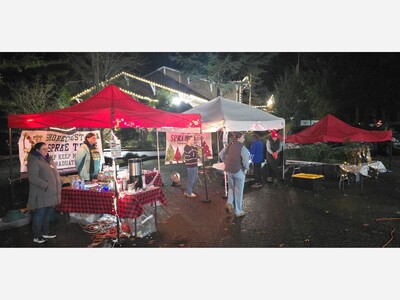 Spree Tree Crew Working Hard First Day