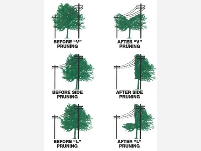 Seattle City Light Power Line-Clearance Work in Lake Forest Park