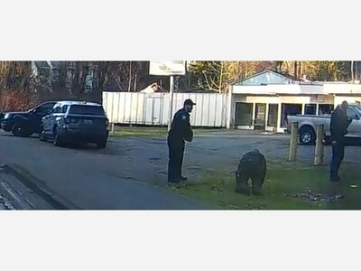 Recent Burglary, Fire, And Shooting Update