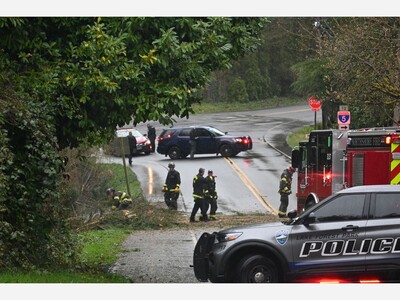 Downed Tree Quickly Moved Out Of Roadway  