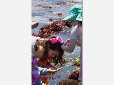 Ridgecrest Elementary At Richmond Beach