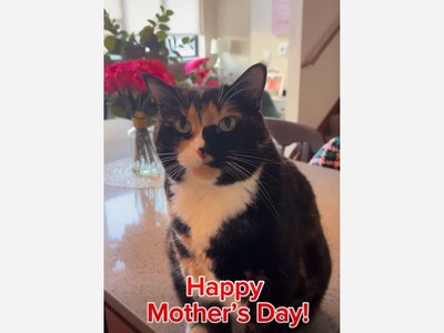 Happy Mother's Day