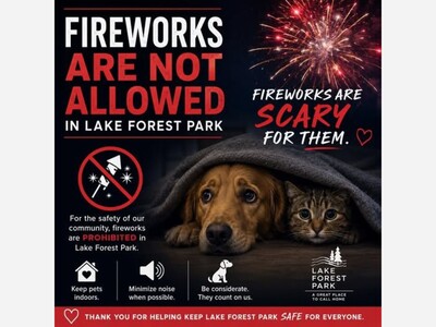 Fireworks Illegal In LFP