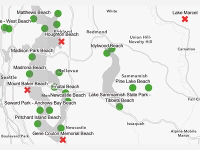 Poopy Beach Map