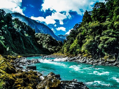 We have until September 21 to save America’s Roadless Forests