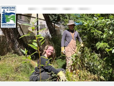 Local Site Sequestering Carbon and Feeding Gorillas