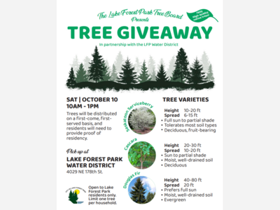 LFP Tree Board's Tree Giveaway on Saturday, October 10 