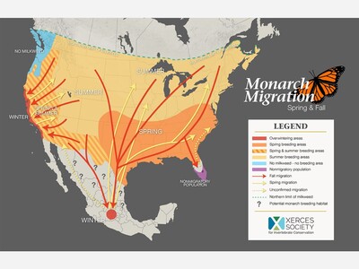 Digital Trackers Let the Public Follow Monarch Butterflies on Their Southern Migration
