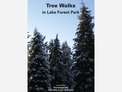 Lake Forest Park Tree Board Meeting Summary