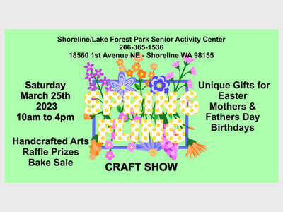 Spring Fling Craft Show