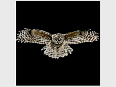 LFP Climate Conversations