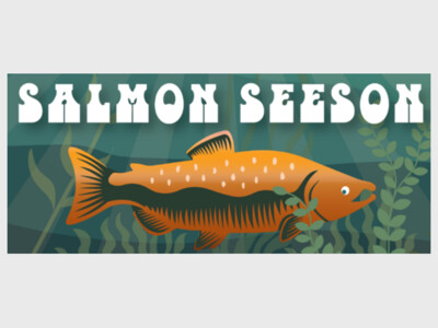 Observe adult salmon as they return from years at sea to McAleer Creek to spawn.
