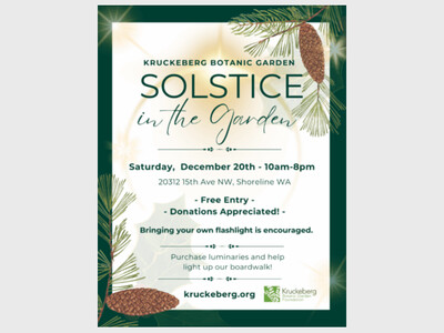 Celebrate the Return of Light